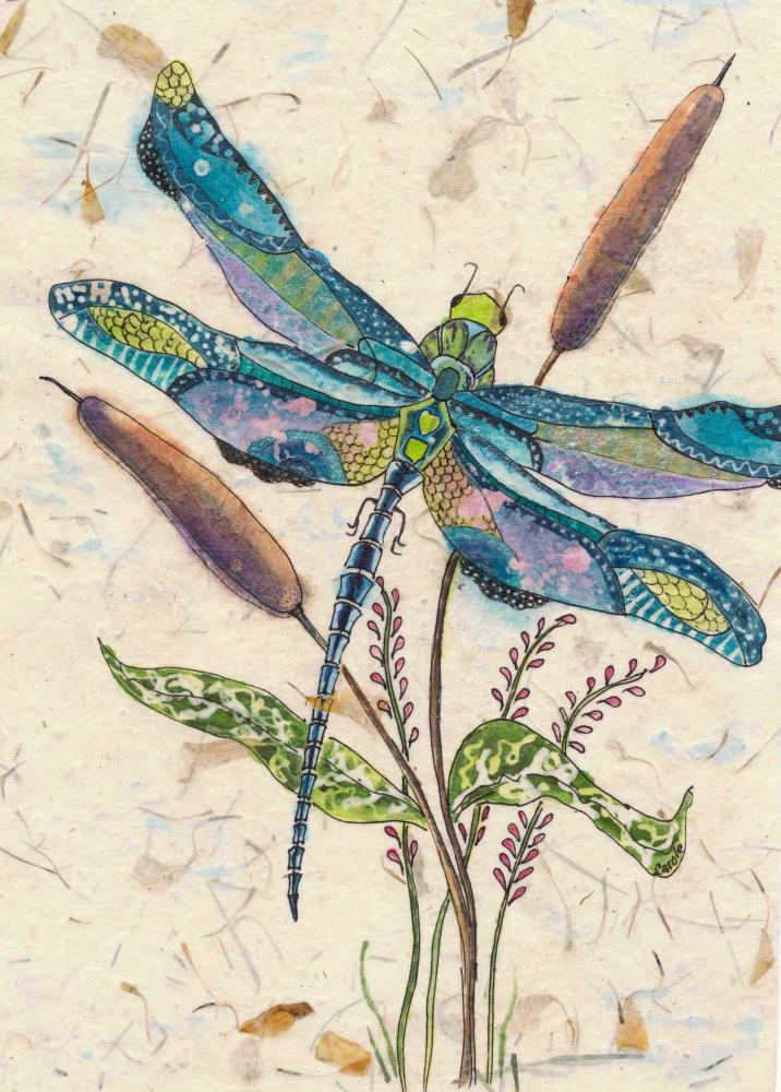 Dragonfly and Cattails